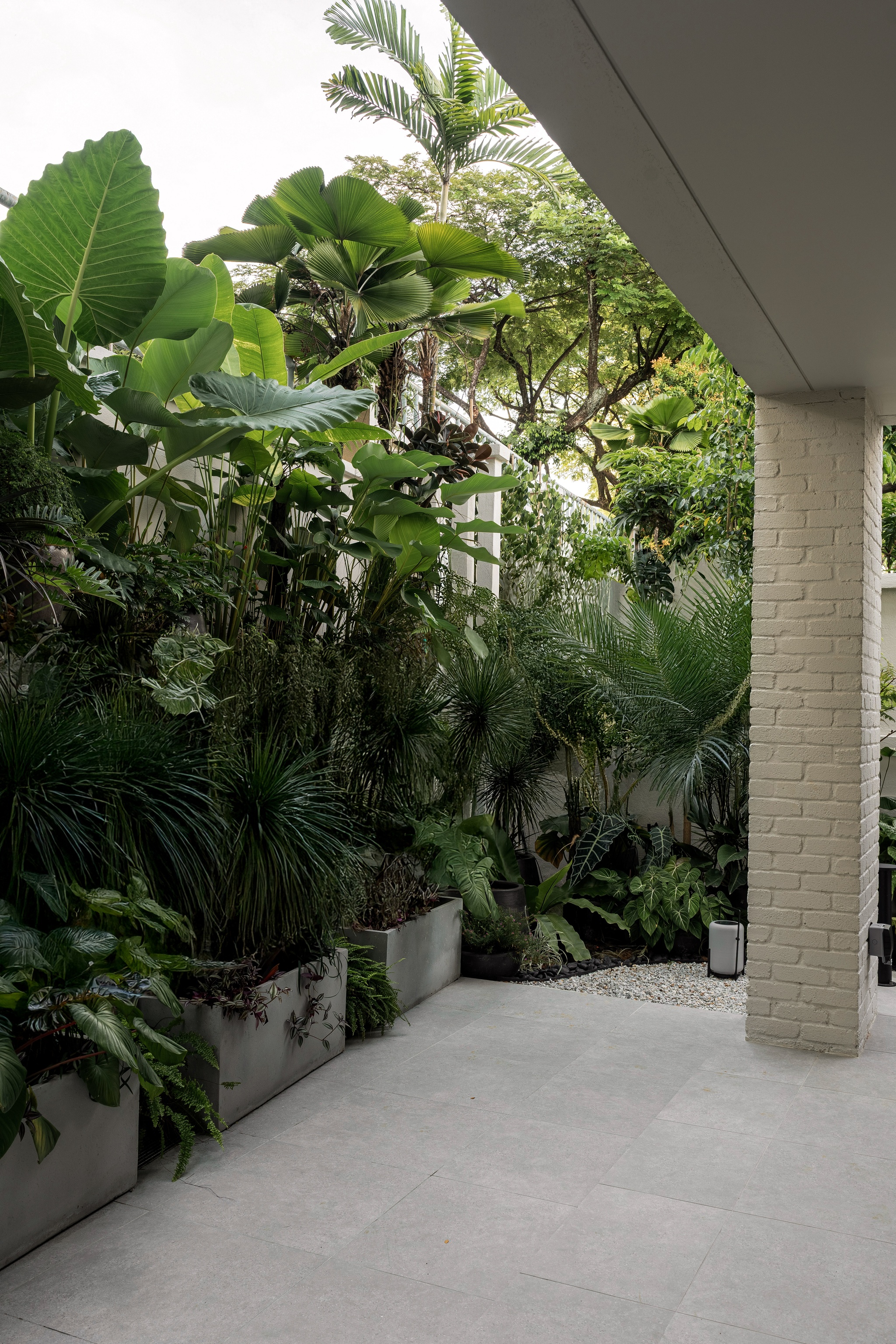 Lush landscape detail, tropical garden, Danau Villa, Kuala Lumpur